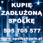 kupię spółkę